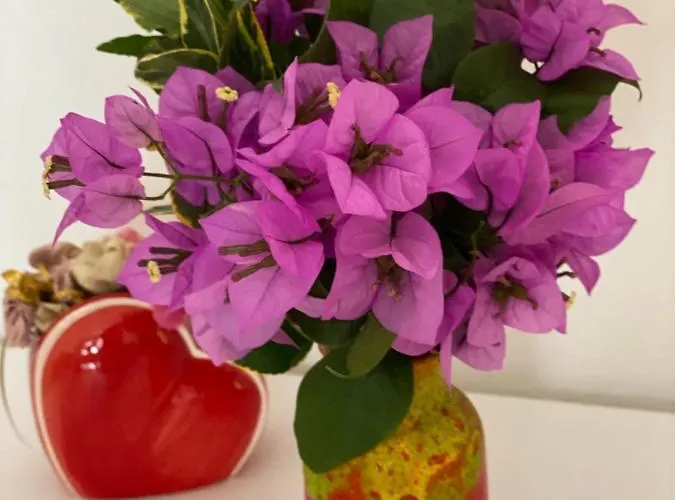 Διαμέρισμα Sunone *