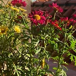 Διαμέρισμα Sunone